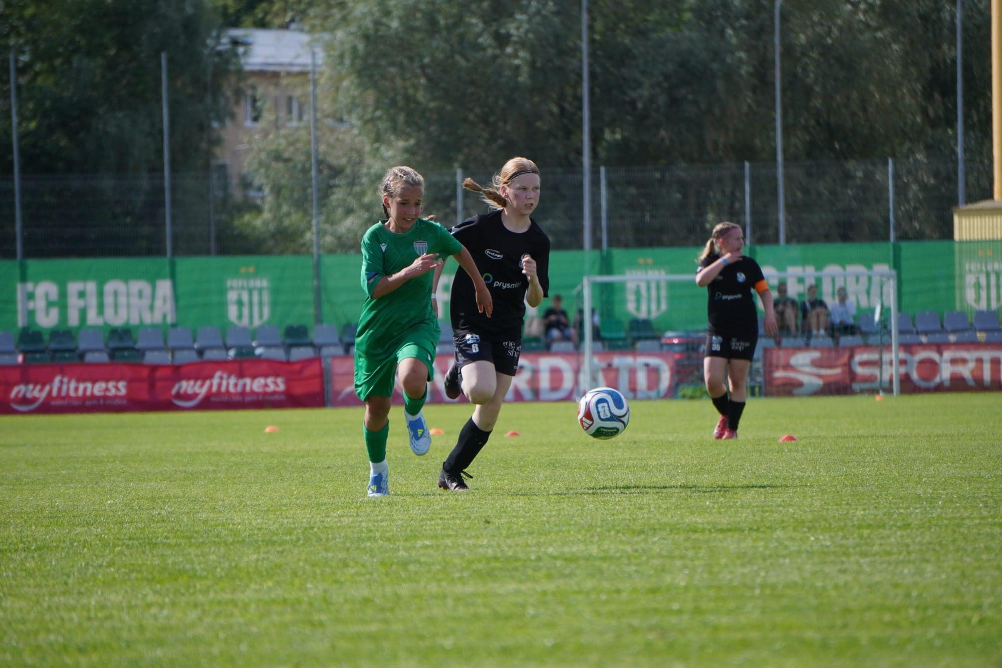 Green against black